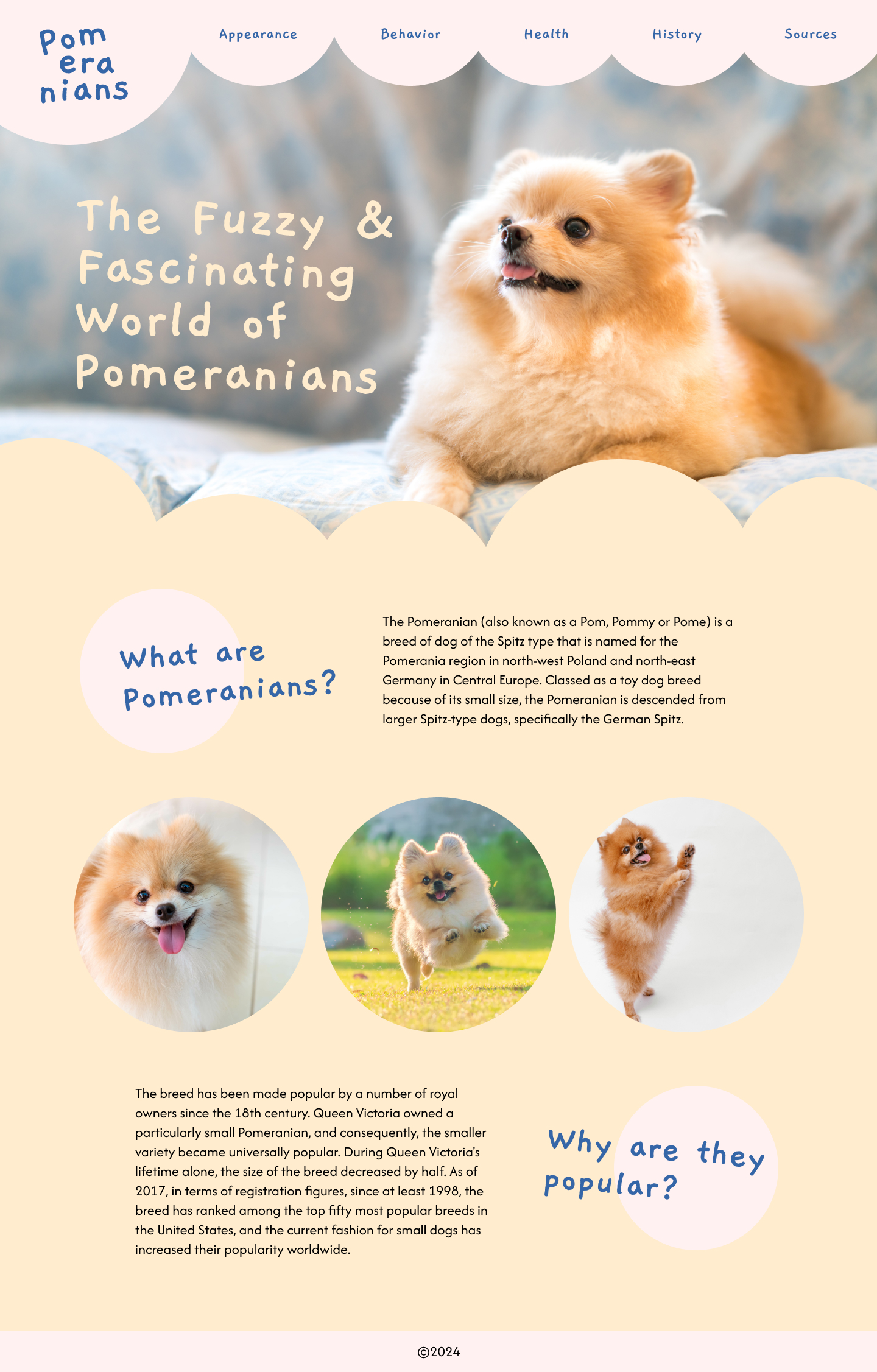 Pomeranians microsite mockup A desktop